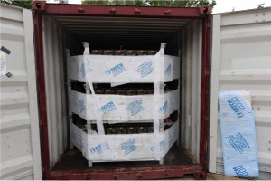 Ty Gard - sujeción de cargas